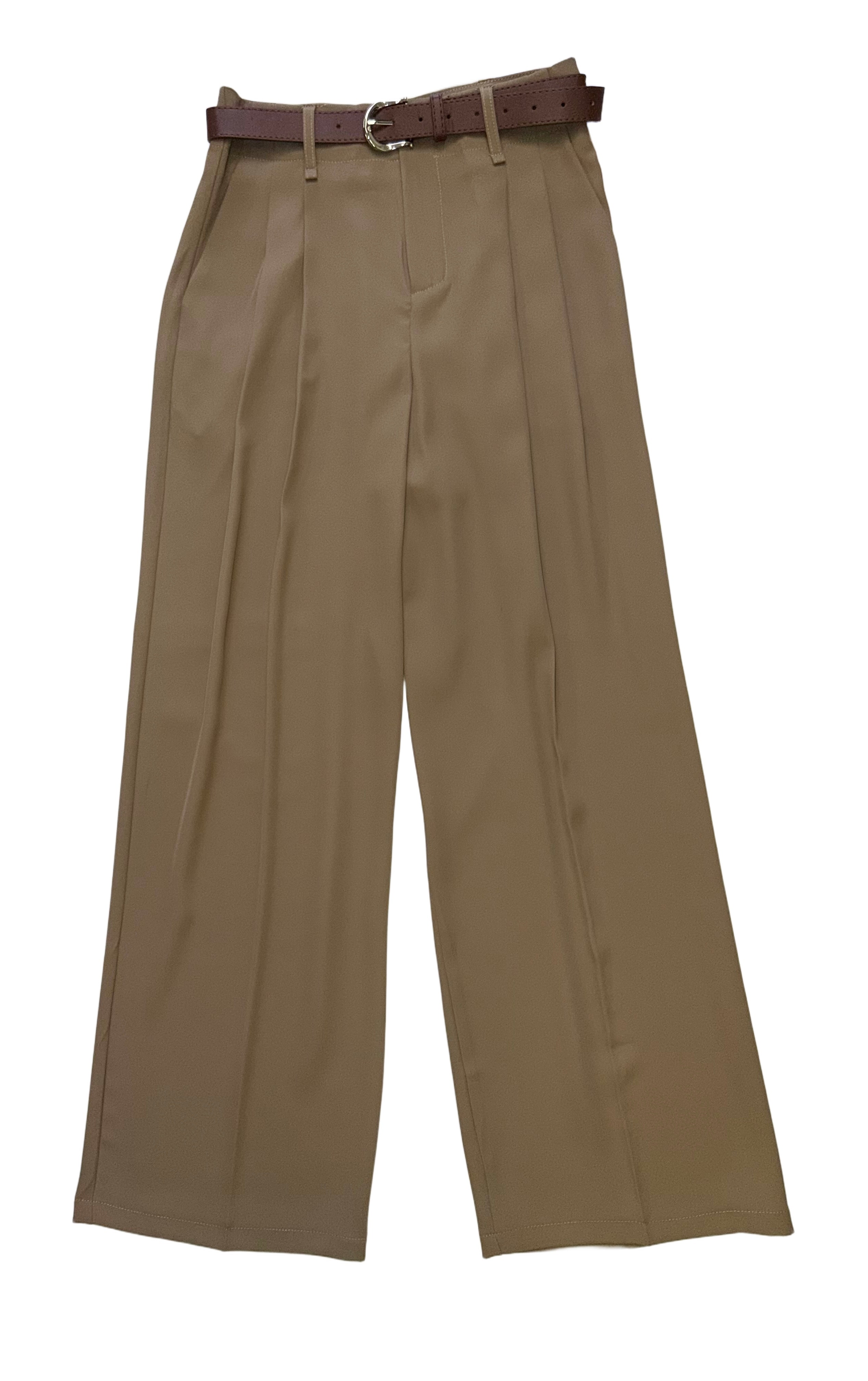 Brown pleated pants / 327439